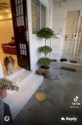Blk 166 Woodlands Street 13 (Woodlands), HDB 3 Rooms #581333251